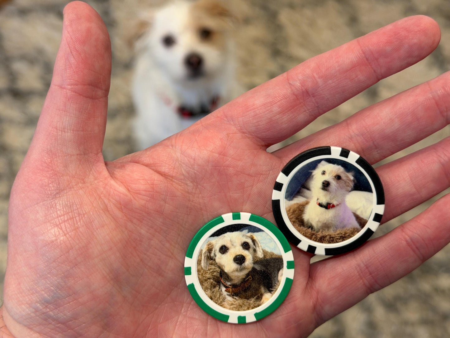 Custom UV Direct Printed Full Color Poker Chips – Personalize With Your Logo, Text, or Photo (8-Stripe)